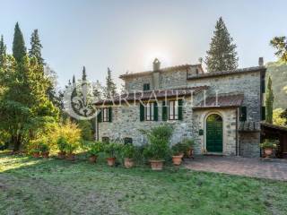 Casali rustici con piscina e vigneto nel Chianti