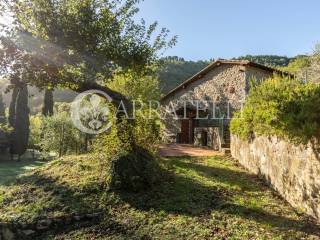 Casali rustici con piscina e vigneto nel Chianti