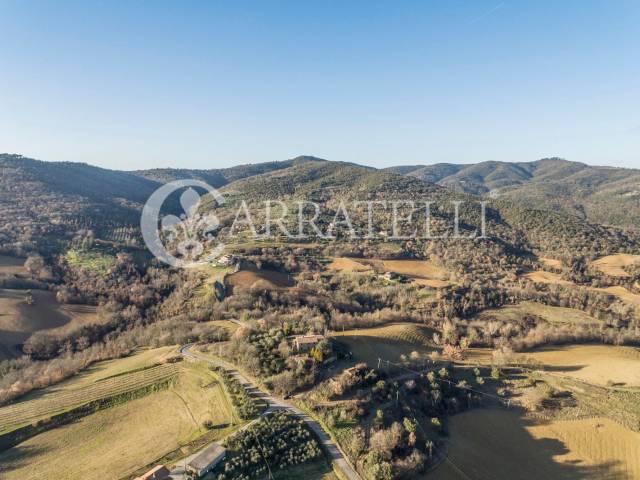 Azienda agricola con casali da ristrutturare a Pie