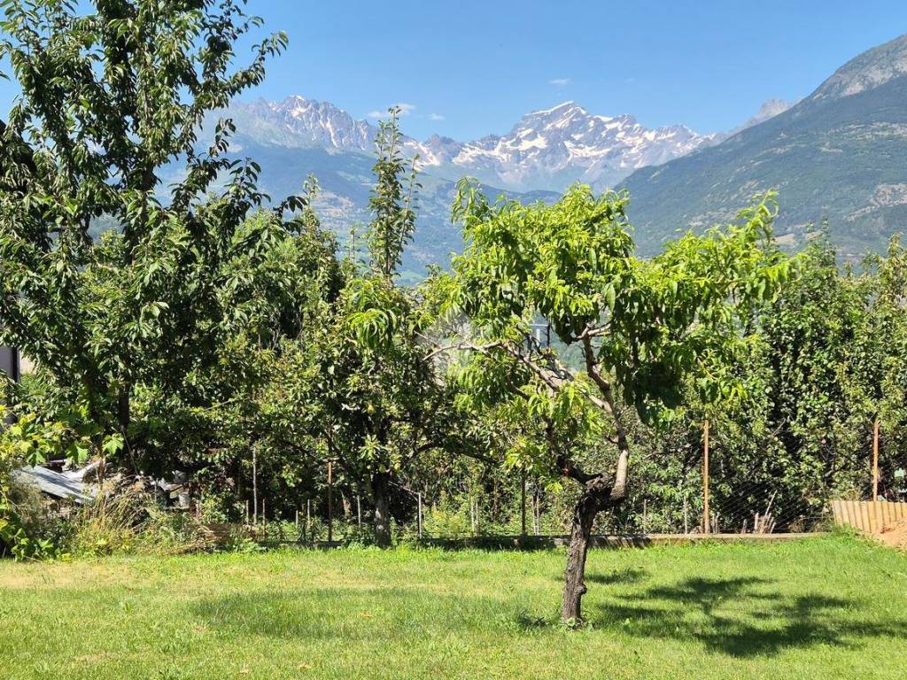 vista giardino con il maestoso Grand Combin sullo sfondo