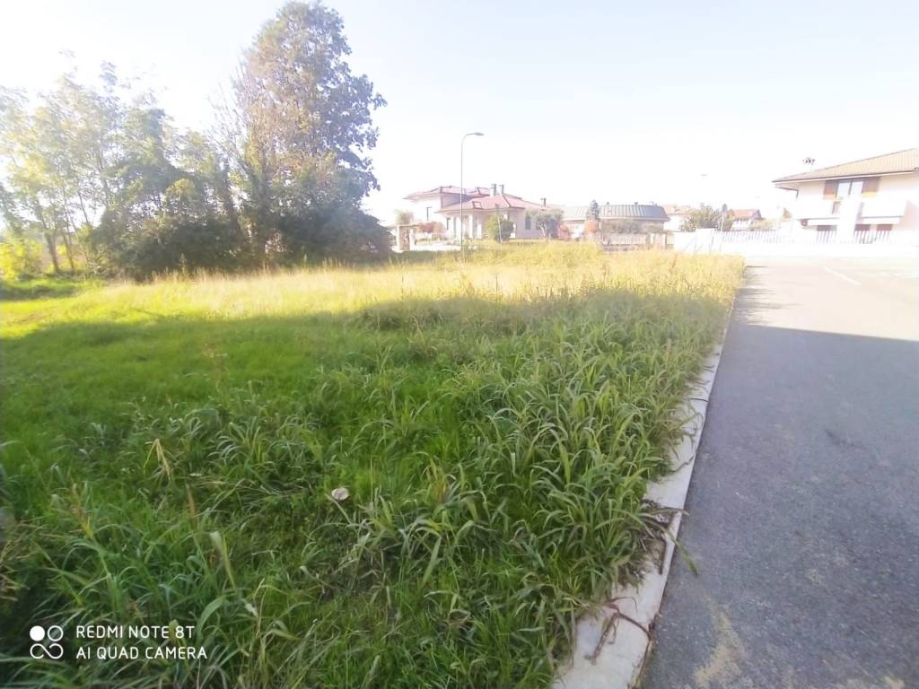 Terreno