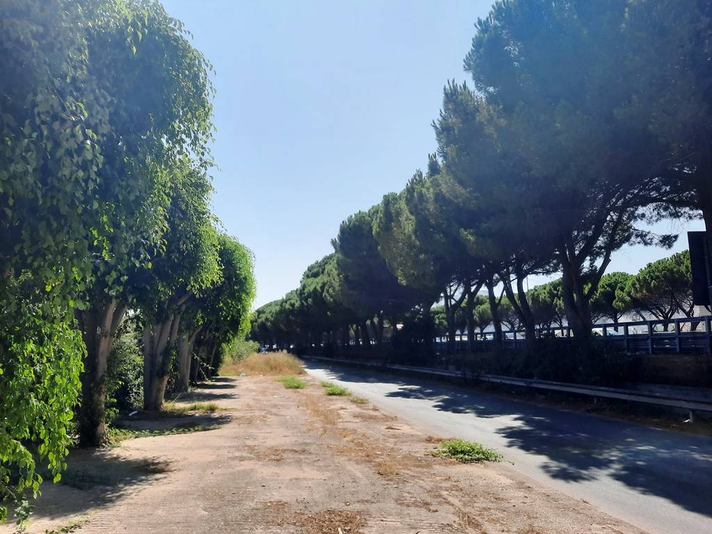 Capannone viale della regione siciliana sud est 5150, brancaccio, palermo