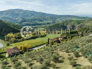 Azienda vitivinicola - ricettiva vicino a Firenze