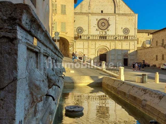 assisi