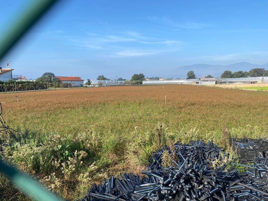 Terreno agricolo, fondi