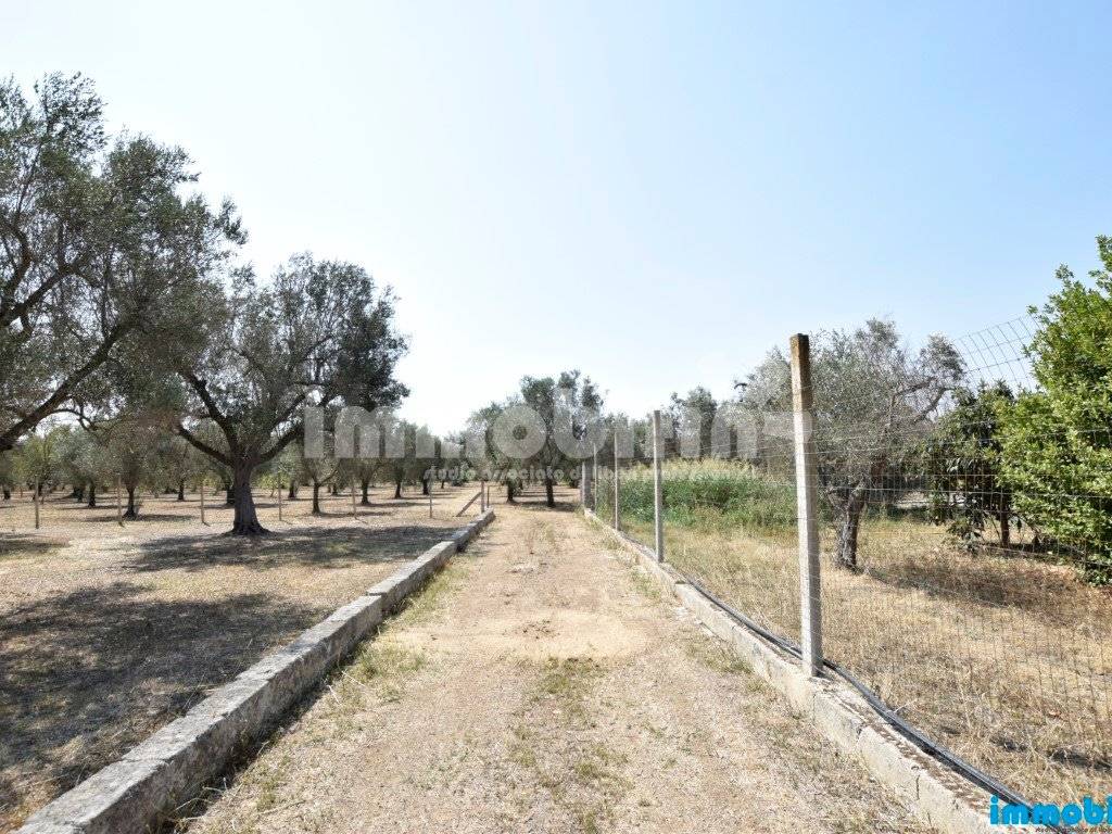 Terreno agricolo, oria