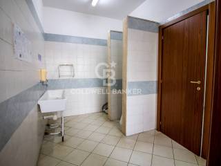 Foto 32