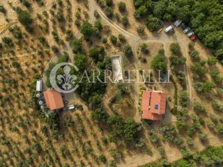 Azienda Agricola con vista panoramica sul mare a C