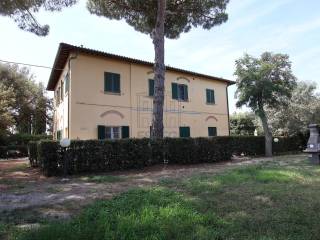 vendesi proprieta con parco e piscina cecina livor