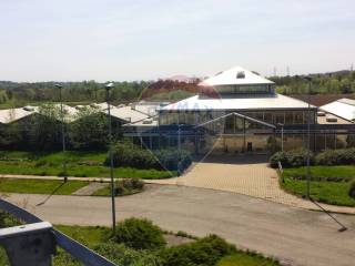 Vista