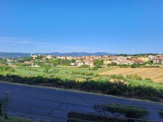 Vista