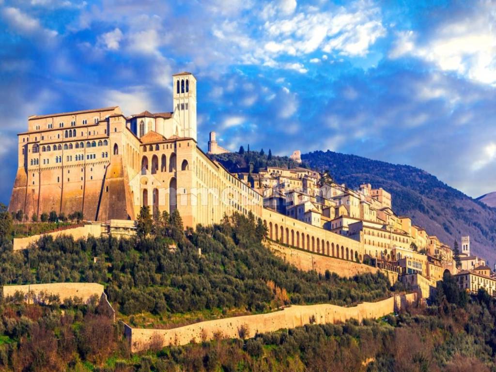 assisi