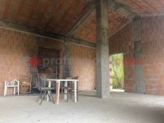 IMG_9182.JPEG