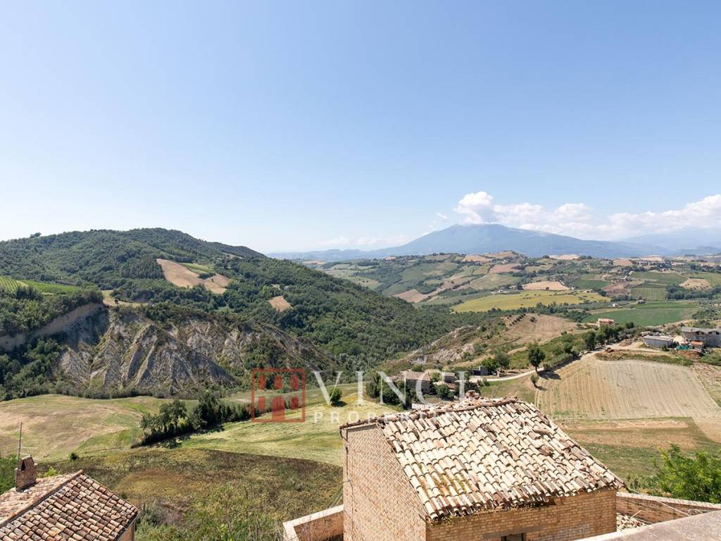 Vista