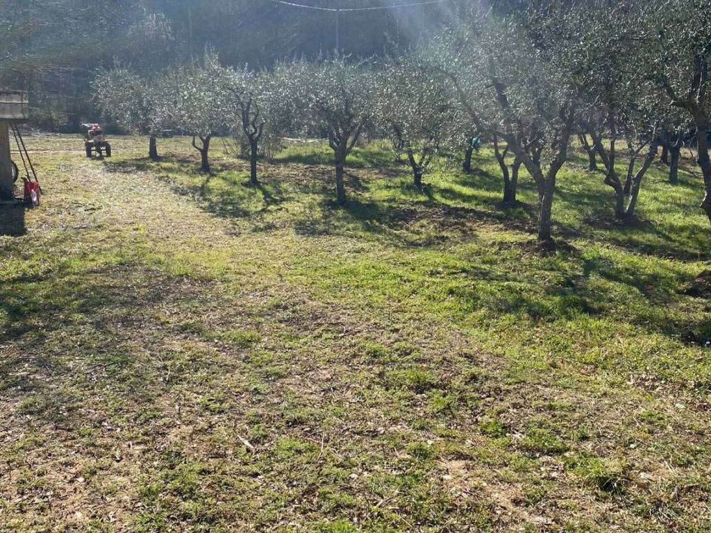 Terreno agricolo via di guzzano, montemurlo