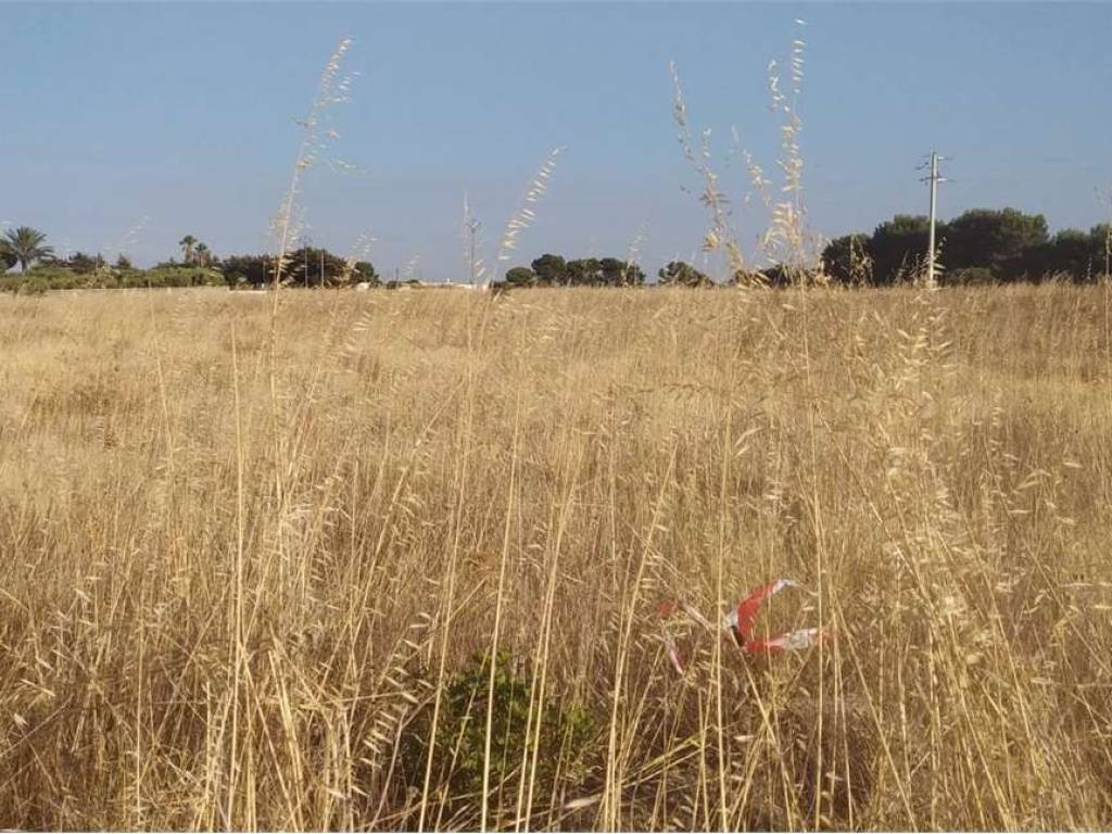 Terreno agricolo, carovigno