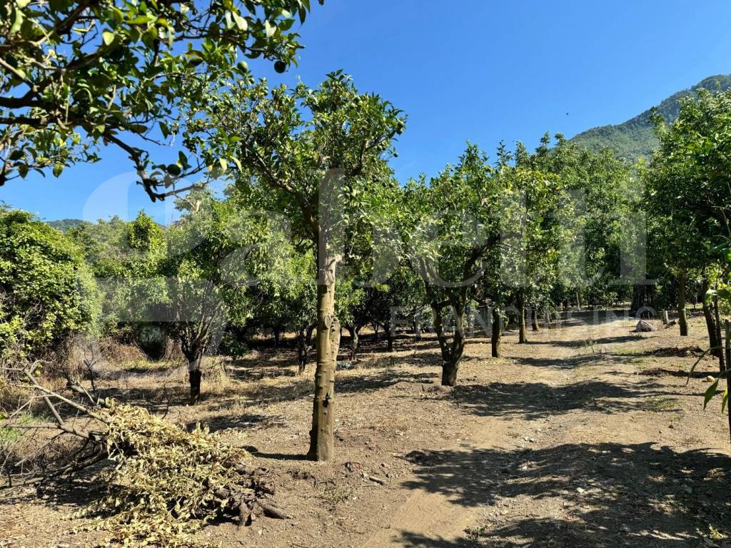 Terreno agricolo via ponte aiello, 121, centro, angri