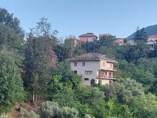 Foto1