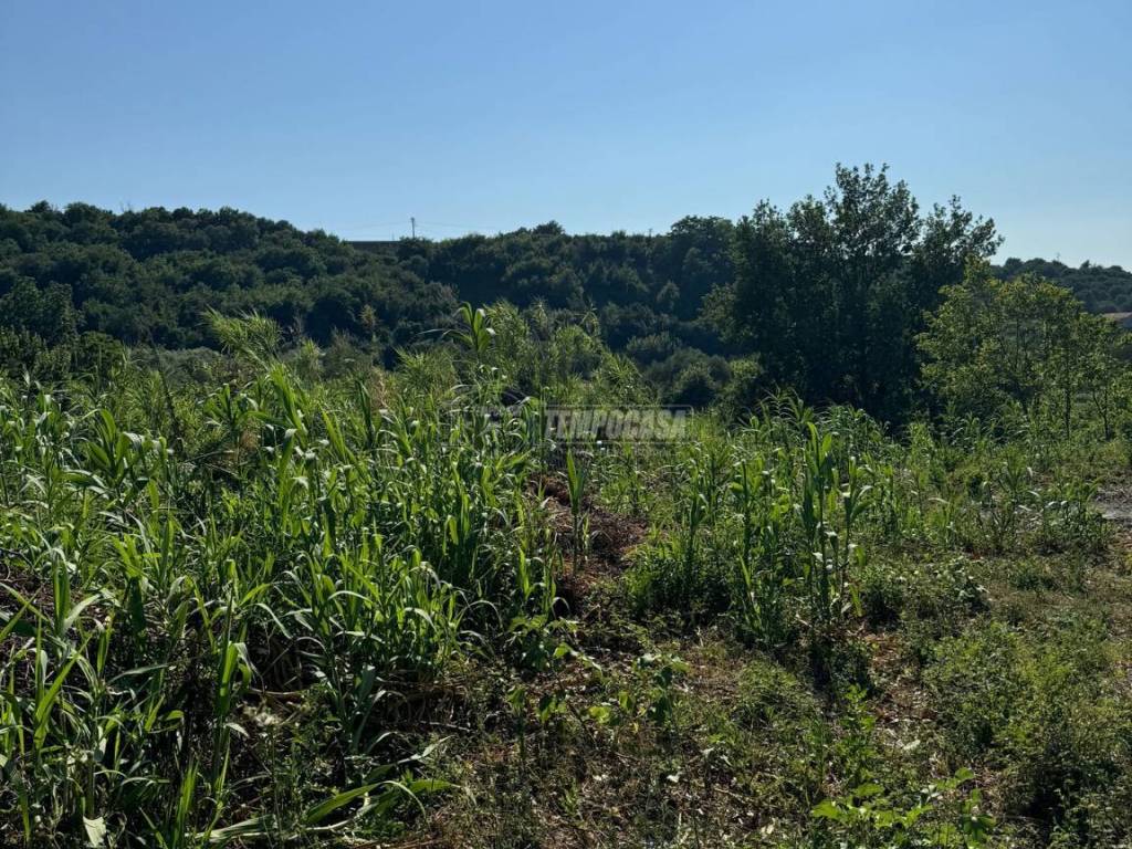 Terreno agricolo via cancello, garzano, caserta