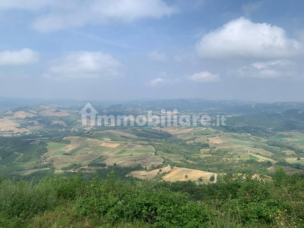 Vista