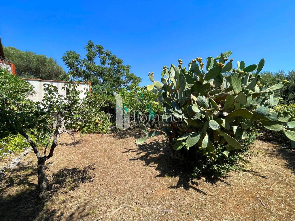 La terrazza a giardino, per una futura piscina