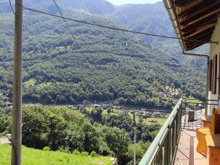 Vista
