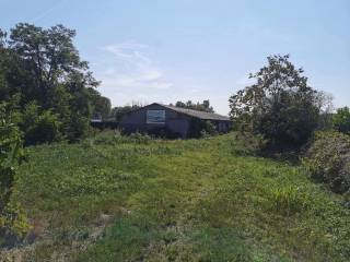 Immagine WhatsApp 2023-09-02 ore 12.02.42.jpg