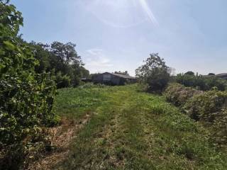 Immagine WhatsApp 2023-09-02 ore 12.02.42..jpg