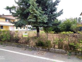 Zona