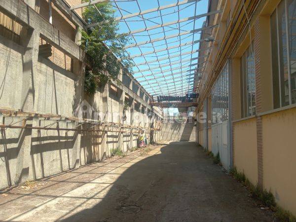 Zona