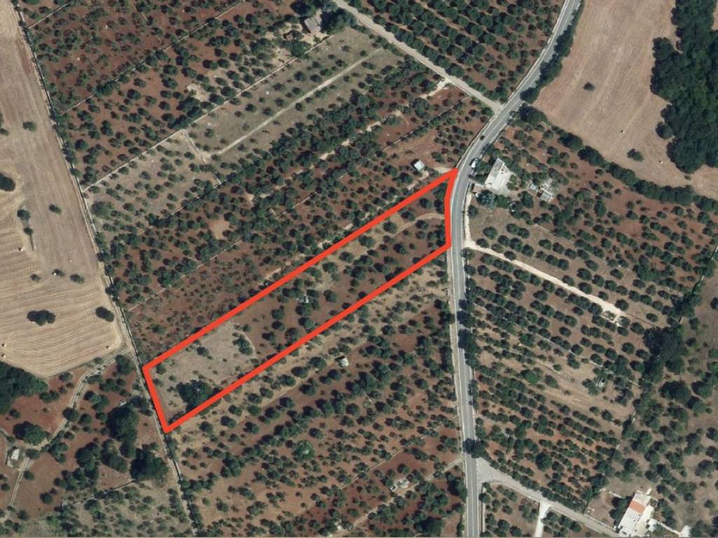 Terreno agricolo contrada romanelli, monopoli
