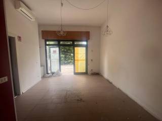 WhatsApp Image 2024-08-08 at 11.06.27-5.jpeg