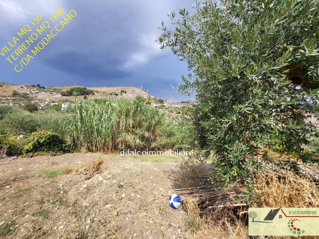 vista