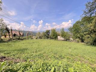 IMG_5577.jpg