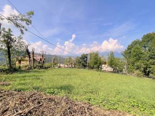 IMG_5585.jpg