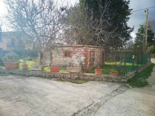 Zona