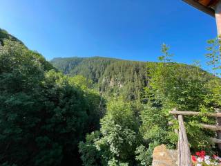Vista
