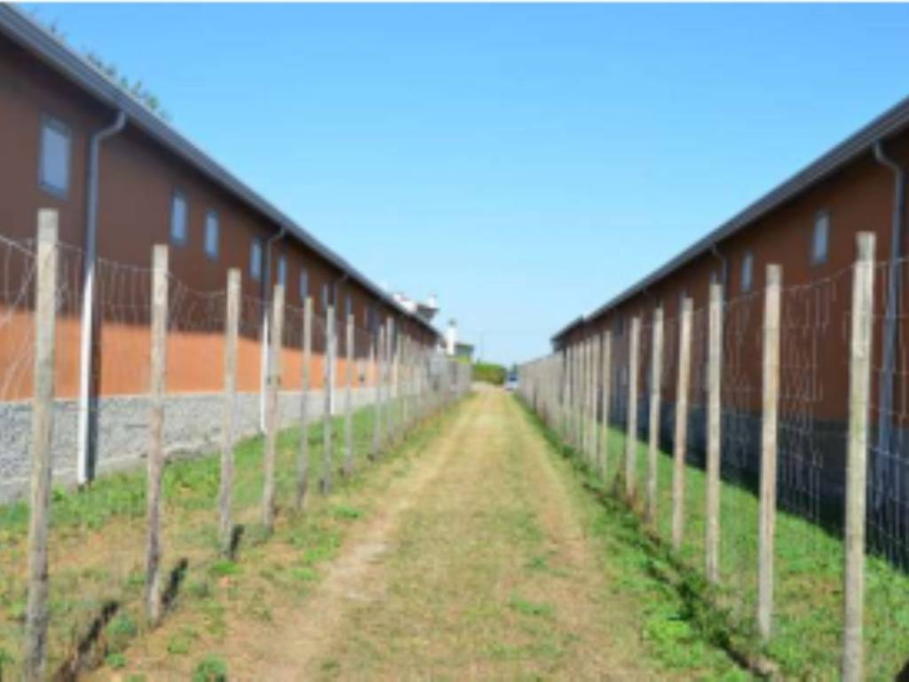 Azienda agricola all'asta via calle dell'orso, san donà di piave