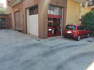 Zona