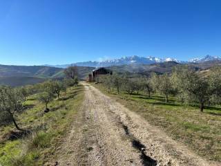 strada di accesso al casolare corpo b