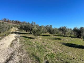 strada di accesso al casolare corpo b