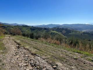 strada di accesso al casolare corpo b