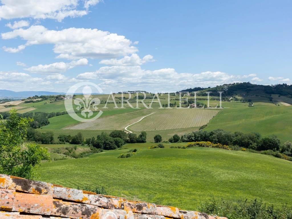 Azienda Agricola con bellissimo casale con vista s