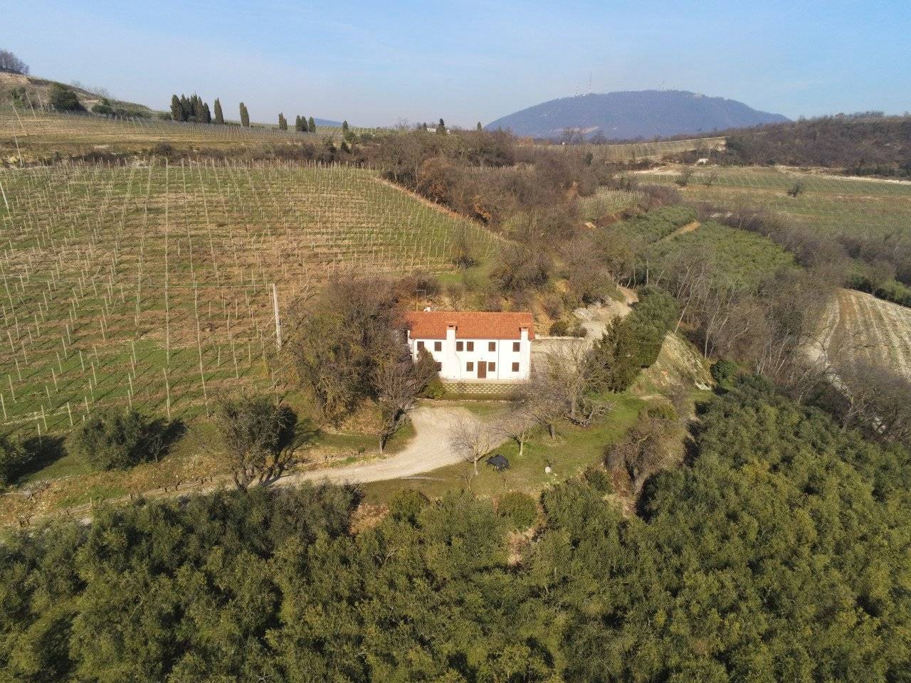 Villa in vendita a Cinto Euganeo