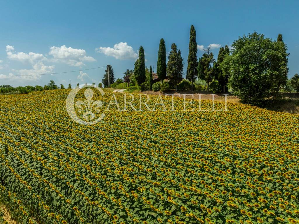 Casale con piscina e dépendance a Cortona