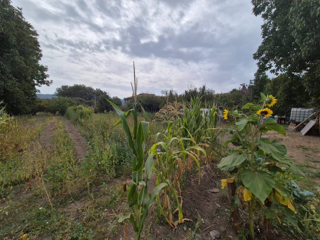 Terreno agricolo via forno, centro, forino