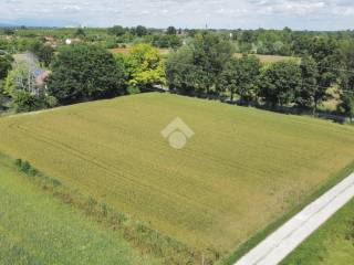 dji_fly_20240529_151718_596_1716988652243_photo_optimized