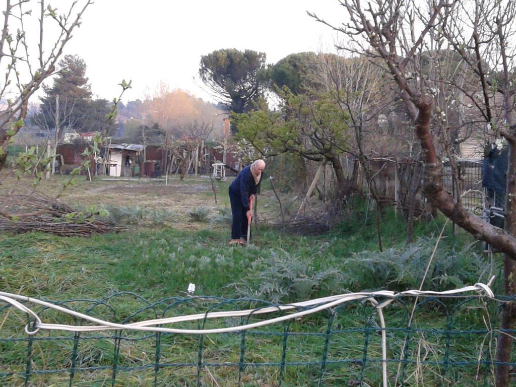 Terreno edificabile via capanna 107, borgo molino, portone, senigallia