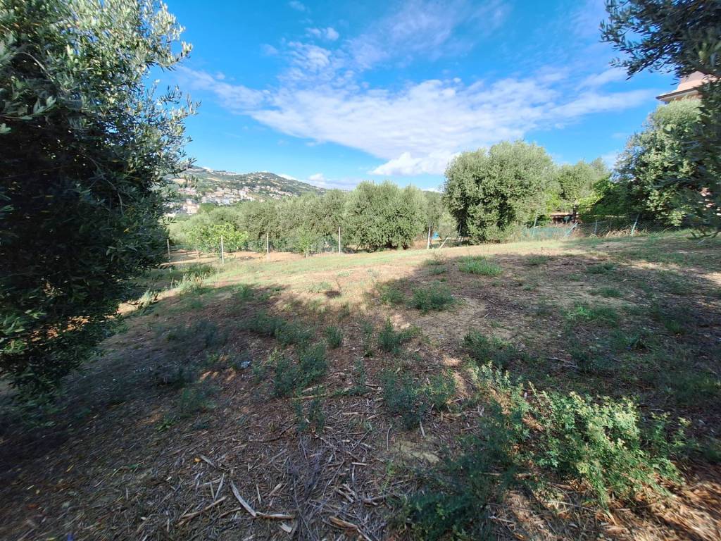 Terreno edificabile via colle euganei, san benedetto del tronto