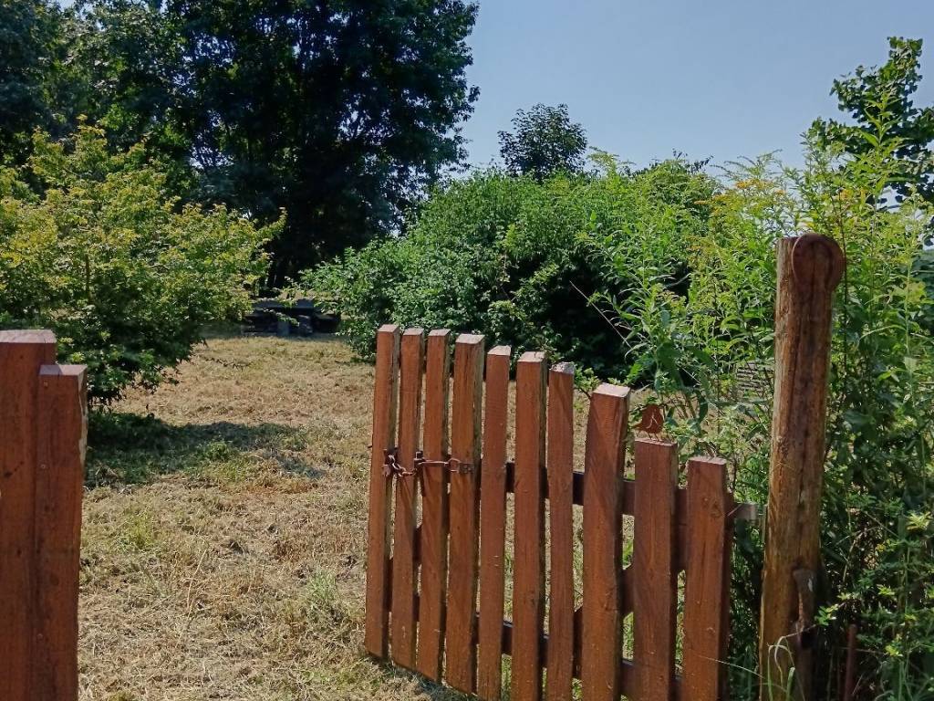 Terreno agricolo via della santé, gorla minore